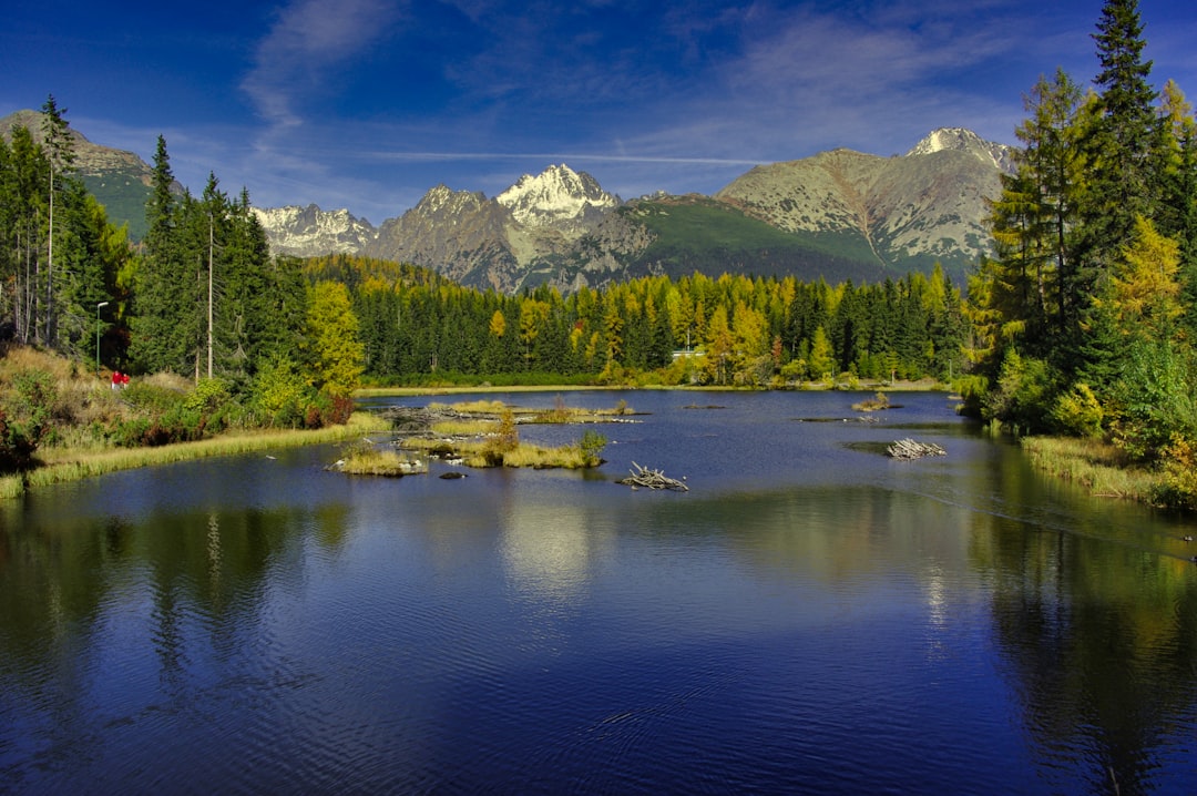 Embracing the Wild: Budget-Friendly Outdoor Adventures